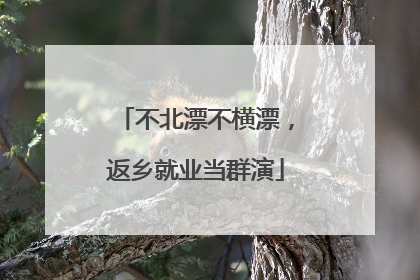 不北漂不横漂，返乡就业当群演