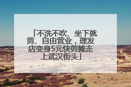 不洗不吹、坐下就剪、自由营业，理发店变身5元快剪摊走上武汉街头