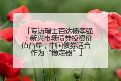 专访瑞士百达杨孝强：新兴市场债券投资价值凸显，中国债券适合作为“稳定器”
