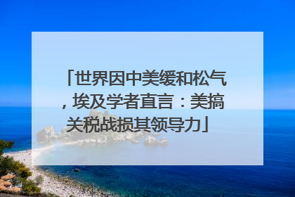 世界因中美缓和松气，埃及学者直言：美搞关税战损其领导力