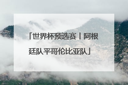 世界杯预选赛丨阿根廷队平哥伦比亚队