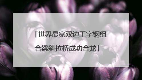 世界最宽双边工字钢组合梁斜拉桥成功合龙