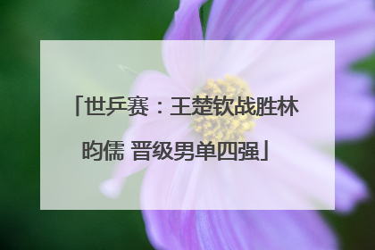 世乒赛：王楚钦战胜林昀儒 晋级男单四强