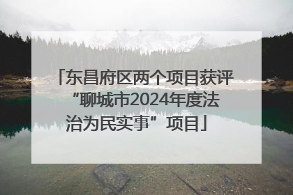 东昌府区两个项目获评“聊城市2024年度法治为民实事”项目
