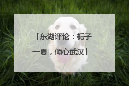 东湖评论：栀子一夏，倾心武汉