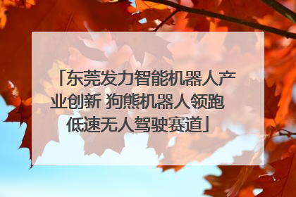 东莞发力智能机器人产业创新 狗熊机器人领跑低速无人驾驶赛道