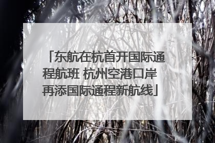 东航在杭首开国际通程航班 杭州空港口岸再添国际通程新航线