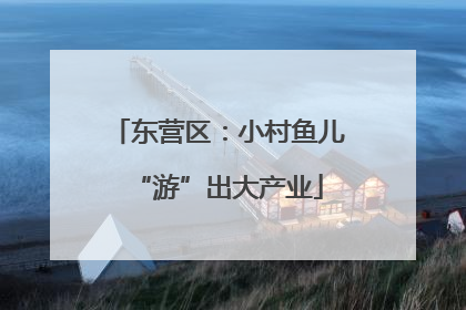 东营区：小村鱼儿“游”出大产业