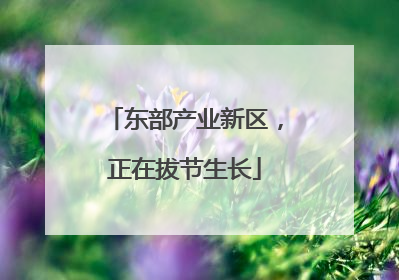 东部产业新区，正在拔节生长