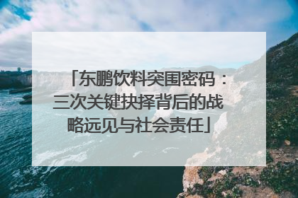 东鹏饮料突围密码：三次关键抉择背后的战略远见与社会责任