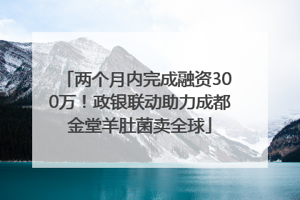两个月内完成融资300万！政银联动助力成都金堂羊肚菌卖全球