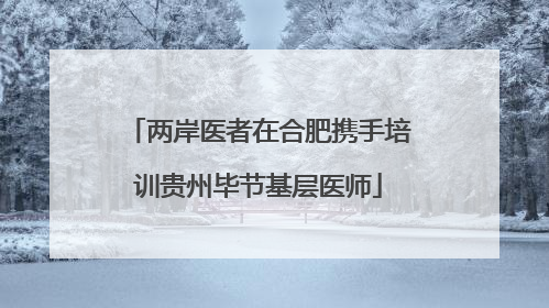 两岸医者在合肥携手培训贵州毕节基层医师