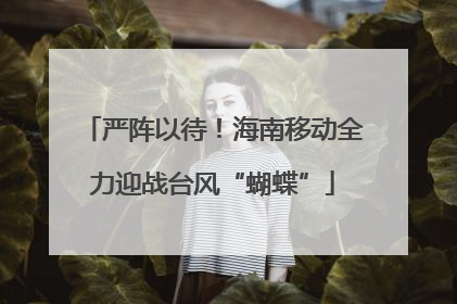 严阵以待！海南移动全力迎战台风“蝴蝶”