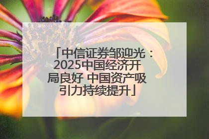 中信证券邹迎光：2025中国经济开局良好 中国资产吸引力持续提升