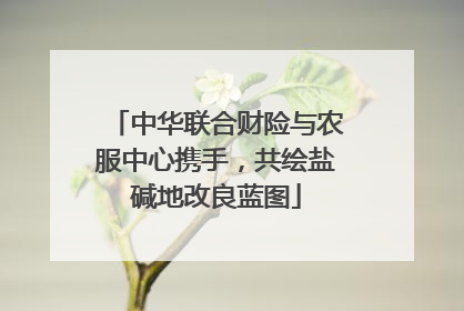 中华联合财险与农服中心携手，共绘盐碱地改良蓝图