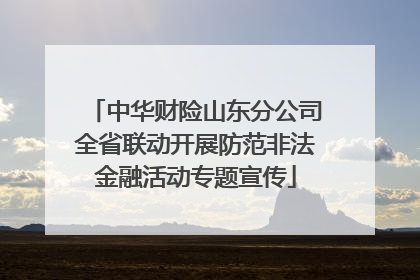 中华财险山东分公司全省联动开展防范非法金融活动专题宣传