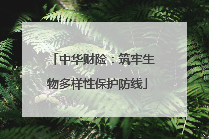 中华财险：筑牢生物多样性保护防线