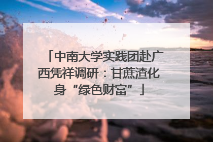 中南大学实践团赴广西凭祥调研：甘蔗渣化身“绿色财富”