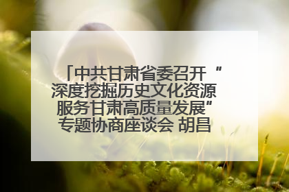 中共甘肃省委召开“深度挖掘历史文化资源服务甘肃高质量发展”专题协商座谈会 胡昌升主持并讲话