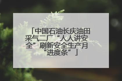 中国石油长庆油田采气二厂“人人讲安全”刷新安全生产月“进度条”