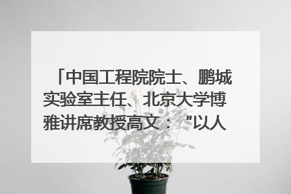 中国工程院院士、鹏城实验室主任、北京大学博雅讲席教授高文：“以人为本 智能向善” 推动文化与科技相生相促｜聚焦2025文化强国建设高峰论坛
