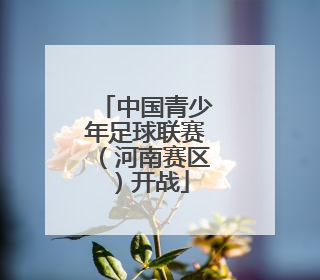中国青少年足球联赛（河南赛区）开战