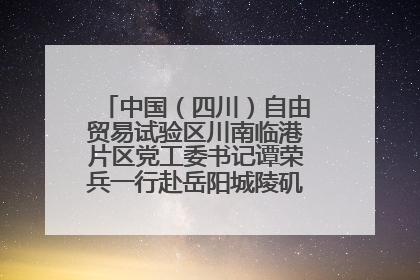 中国（四川）自由贸易试验区川南临港片区党工委书记谭荣兵一行赴岳阳城陵矶综保区考察