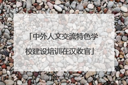 中外人文交流特色学校建设培训在汉收官
