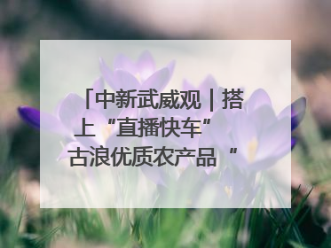 中新武威观｜搭上“直播快车” 古浪优质农产品“云端”走俏