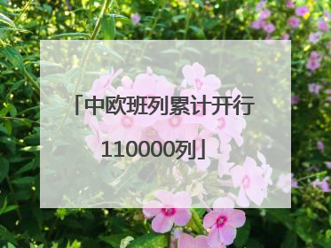 中欧班列累计开行110000列