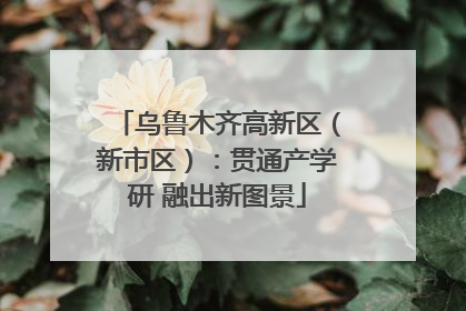 乌鲁木齐高新区（新市区）：贯通产学研 融出新图景
