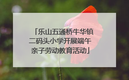 乐山五通桥牛华镇二码头小学开展端午亲子劳动教育活动