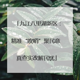 九江八里湖新区：精准“吹哨”聚民意 真查实改解民忧