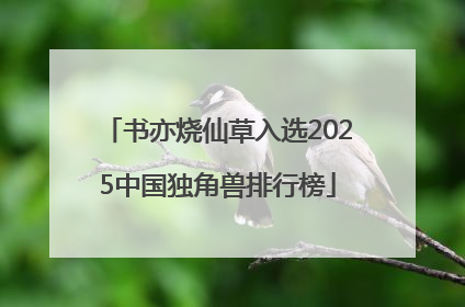 书亦烧仙草入选2025中国独角兽排行榜