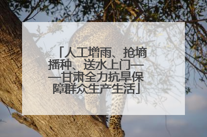 人工增雨、抢墒播种、送水上门——甘肃全力抗旱保障群众生产生活