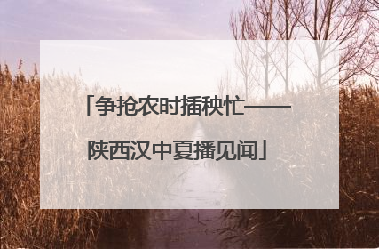 争抢农时插秧忙——陕西汉中夏播见闻