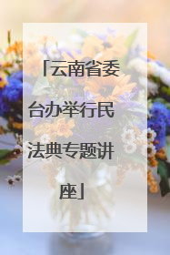 云南省委台办举行民法典专题讲座