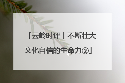 云岭时评丨不断壮大文化自信的生命力②