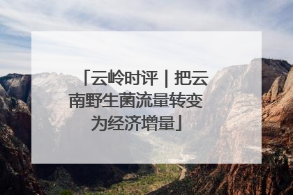 云岭时评｜把云南野生菌流量转变为经济增量