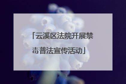 云溪区法院开展禁毒普法宣传活动