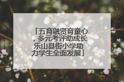 五育融贤育童心，多元考评助成长 乐山县街小学助力学生全面发展