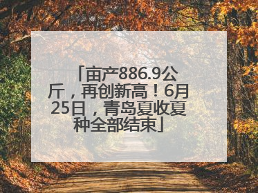 亩产886.9公斤，再创新高！6月25日，青岛夏收夏种全部结束