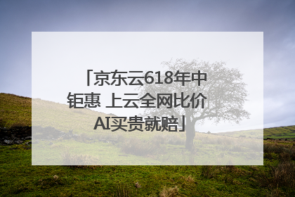 京东云618年中钜惠 上云全网比价 AI买贵就赔