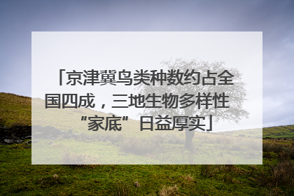 京津冀鸟类种数约占全国四成，三地生物多样性“家底”日益厚实