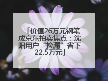 价值26万元钢笔成京东拍卖焦点：沈阳用户“捡漏”省下22.5万元