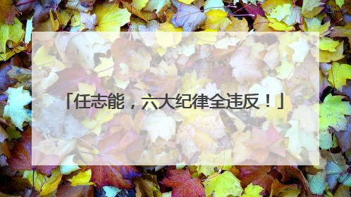 任志能，六大纪律全违反！