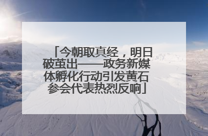 今朝取真经，明日破茧出——政务新媒体孵化行动引发黄石参会代表热烈反响