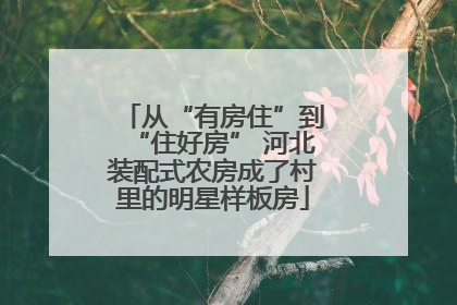 从“有房住”到“住好房” 河北装配式农房成了村里的明星样板房