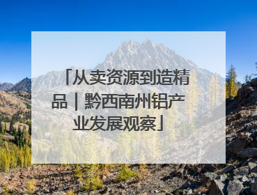 从卖资源到造精品｜黔西南州铝产业发展观察