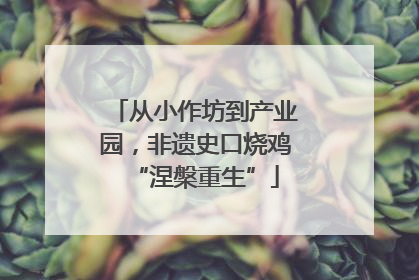 从小作坊到产业园，非遗史口烧鸡“涅槃重生”